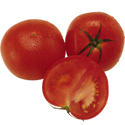 cherrytomato_02_1.jpg